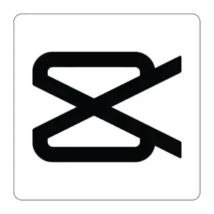 capcut mod apk pro download image