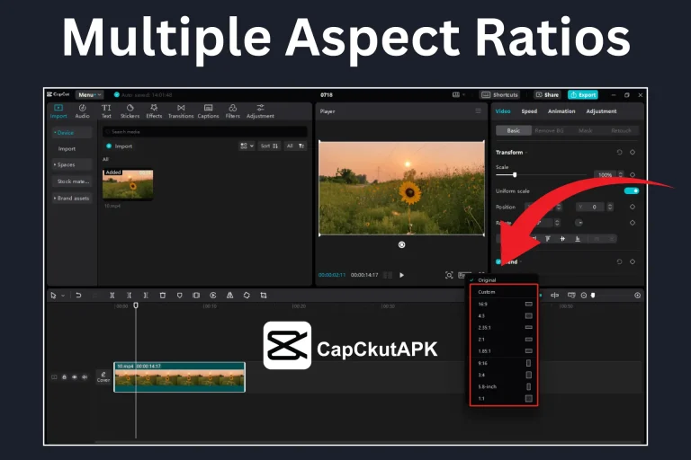 CapCut Pro offers Multiple Aspect Ratios